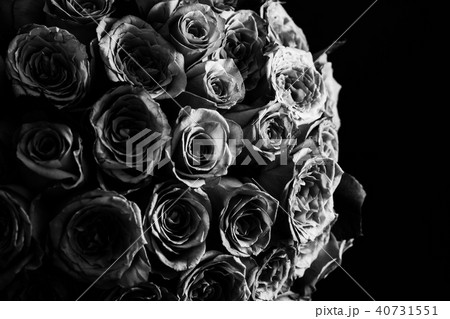 Bouquet of violet roses in black and white 40731551