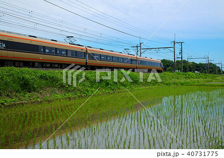 日光詣スペーシアと田園風景 日光詣スペーシアと田園風景 40731775