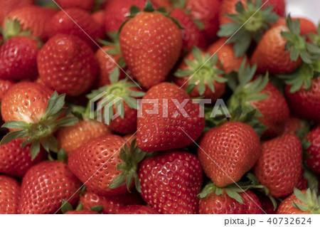 イチゴ 40732624