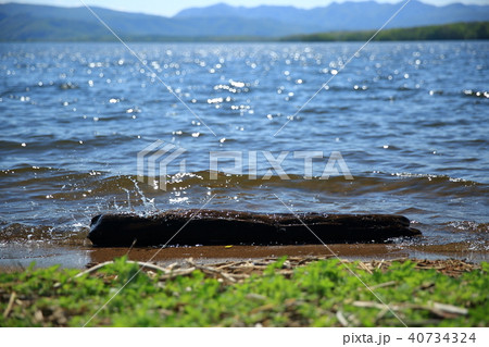 湖畔の波打ち際 湖畔の波打ち際 40734324