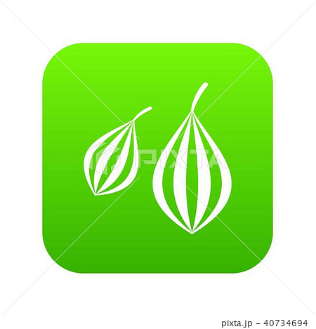 Trachyspermum ammi icon digital green 40734694