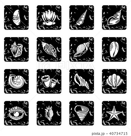 Tropical sea shell icons set grunge vector 40734715