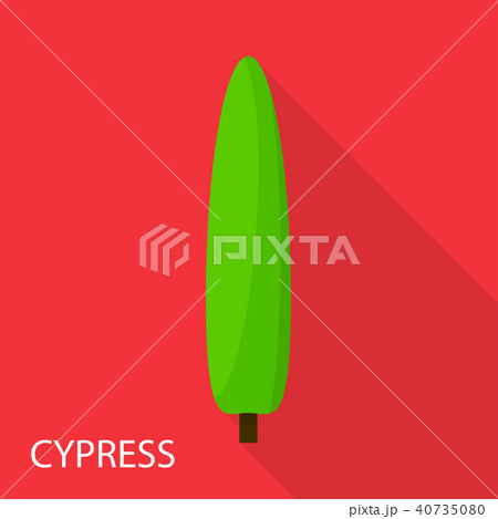 Cypress icon, flat style 40735080