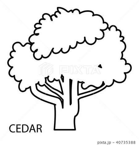 Cedar icon, outline style 40735388
