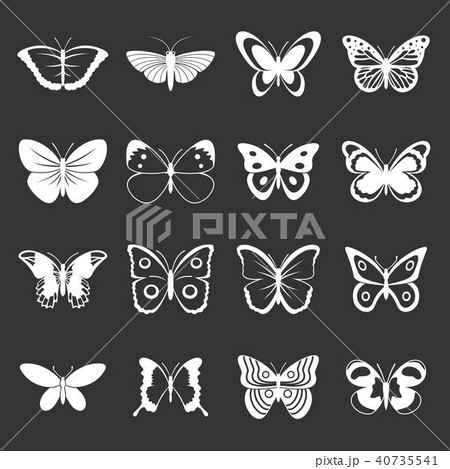 Butterfly icons set grey vector 40735541