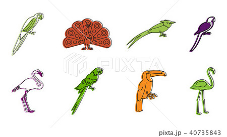 Exotic birds icon set, color outline style 40735843