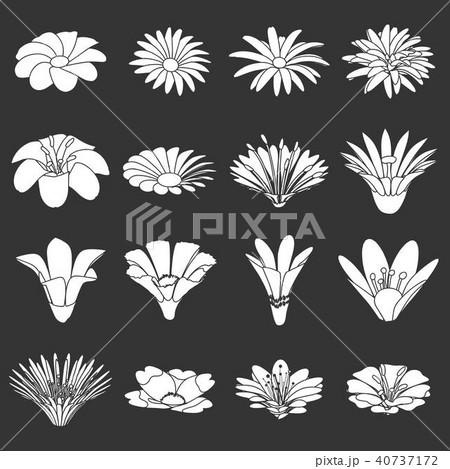 Detailed flower icons set grey vector 40737172