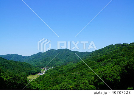 大平山から晃石山への稜線 40737528