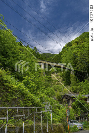 新緑の奥多摩むかし道　水根貨物線　鉄橋 40737582