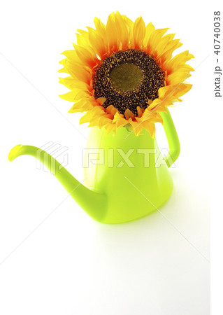 夏～向日葵～ 40740038