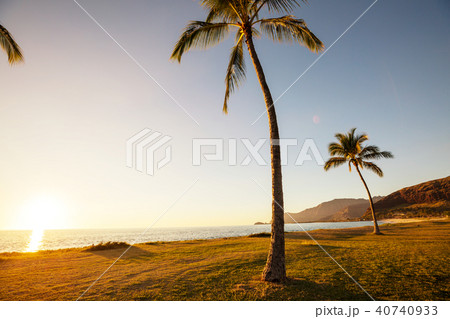 Hawaiian beach 40740933
