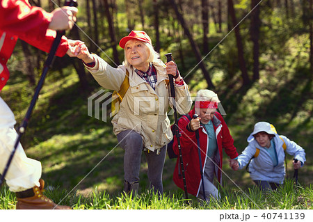 Alert team hiking in the forest 40741139