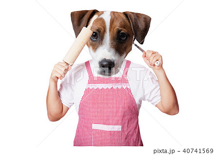 anthropomorphic dog with kitchenware anthropomorphic dog with kitchenware 40741569