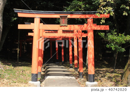 橿原神宮・長山稲荷社 橿原神宮・長山稲荷社 40742020