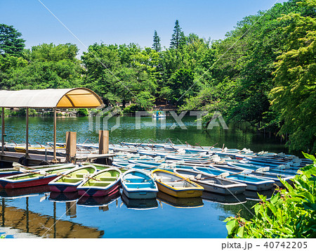 東京 井の頭公園 東京 井の頭公園 40742205