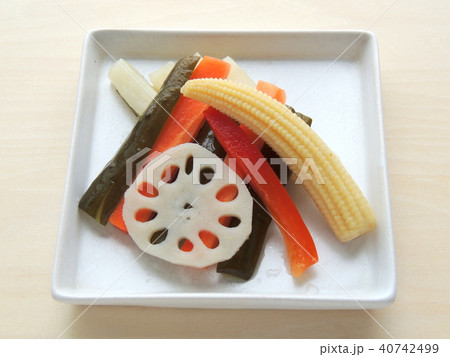 ピクルス 40742499