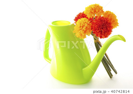 マリーゴールド～アフリカン～ 40742814