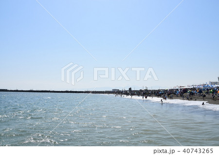 茅ヶ崎 湘南祭 茅ヶ崎 湘南祭 40743265