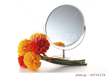 鏡とマリーゴールド 40743278