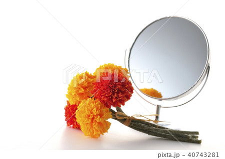 鏡とマリーゴールド 40743281