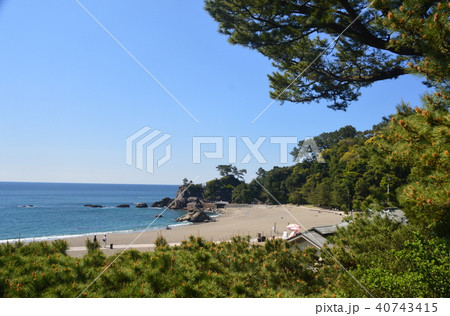 松林･ビーチ（桂浜／高知県高知市浦戸） 40743415