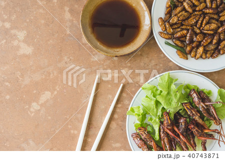 Fried insects in dish with sauce on wooden table.  40743871
