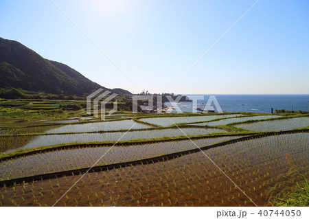 袖志の棚田 (そでしのたなだ) 京都府京丹後市丹後町袖志 袖志の棚田 (そでしのたなだ) 京都府京丹後市丹後町袖志 40744050