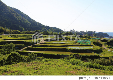 袖志の棚田 (そでしのたなだ) 京都府京丹後市丹後町袖志 40744051