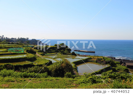 袖志の棚田 (そでしのたなだ) 京都府京丹後市丹後町袖志 40744052