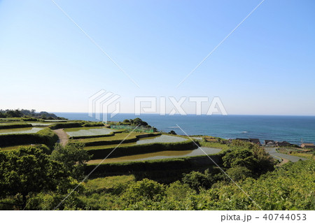 袖志の棚田 (そでしのたなだ) 京都府京丹後市丹後町袖志 40744053