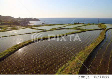 袖志の棚田 (そでしのたなだ) 京都府京丹後市丹後町袖志 袖志の棚田 (そでしのたなだ) 京都府京丹後市丹後町袖志 40744055