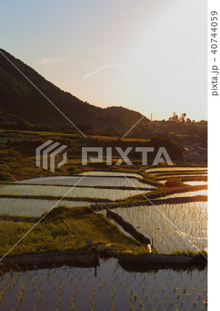 袖志の棚田 (そでしのたなだ) 京都府京丹後市丹後町袖志 袖志の棚田 (そでしのたなだ) 京都府京丹後市丹後町袖志 40744059