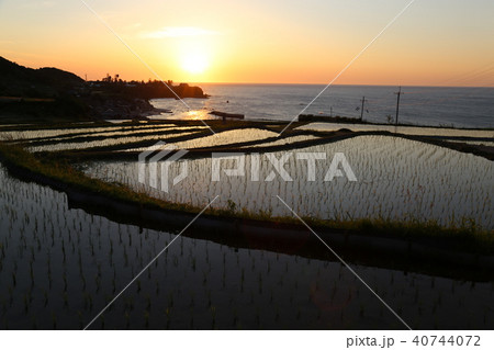 袖志の棚田 (そでしのたなだ) 京都府京丹後市丹後町袖志 袖志の棚田 (そでしのたなだ) 京都府京丹後市丹後町袖志 40744072