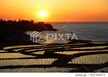 袖志の棚田 (そでしのたなだ) 京都府京丹後市丹後町袖志 袖志の棚田 (そでしのたなだ) 京都府京丹後市丹後町袖志 40744077