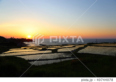 袖志の棚田 (そでしのたなだ) 京都府京丹後市丹後町袖志 40744078