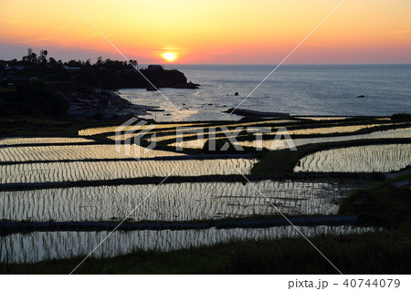袖志の棚田 (そでしのたなだ) 京都府京丹後市丹後町袖志 袖志の棚田 (そでしのたなだ) 京都府京丹後市丹後町袖志 40744079