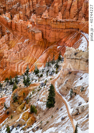 Hoodoo Rocks With Pine Trees In Bryce Canyon, USA Hoodoo Rocks With Pine Trees In Bryce Canyon, USA 40744227