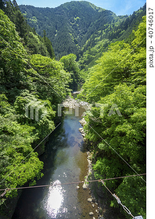 新緑の惣岳渓谷　道所橋からの風景　下流方向 40746017