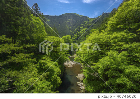 新緑の惣岳渓谷 道所橋からの風景 下流方向 新緑の惣岳渓谷 道所橋からの風景 下流方向 40746020