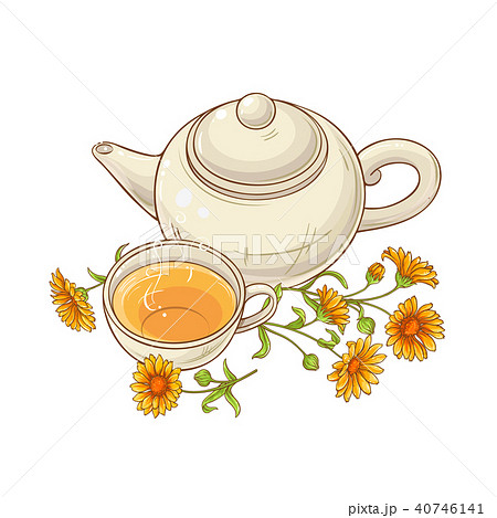 calendula tea vector illustration calendula tea vector illustration 40746141