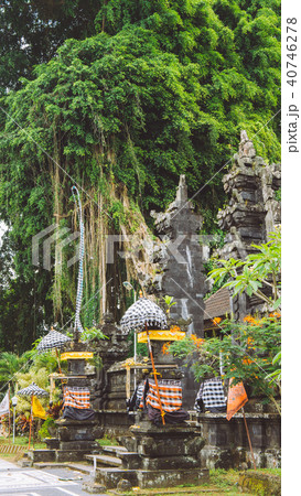 Bali temple entrance with guardian statue and Huge ancient Banyan tree in background. Indonesia 40746278