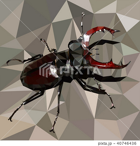 stag beetle, brown bug on a grey background stag beetle, brown bug on a grey background 40746436