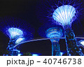 巨大ツリーを見上げて・夜 40746738