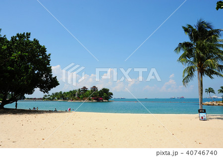 ビーチとゆるい時間 40746740