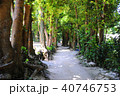 緑の散歩道 40746753