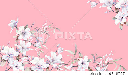 透明水彩 水彩画 花 40746767