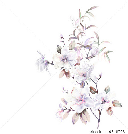 透明水彩 水彩画 花 40746768
