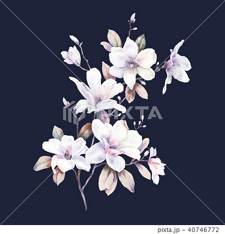 透明水彩 水彩画 花 40746772