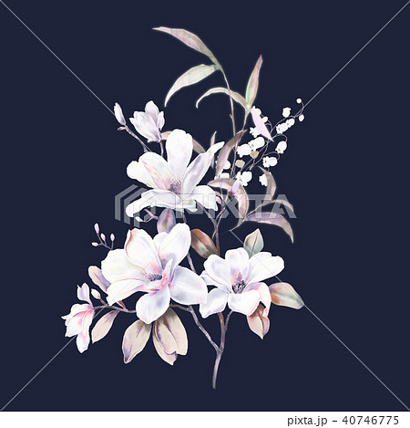 透明水彩 水彩画 花 40746775