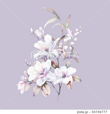 透明水彩 水彩画 花 40746777